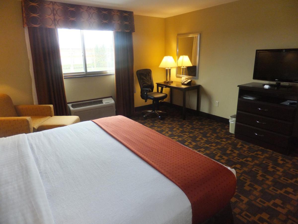 Holiday Inn Mount Prospect-Chicago Room photo